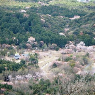 千坊川砂防公園俯瞰