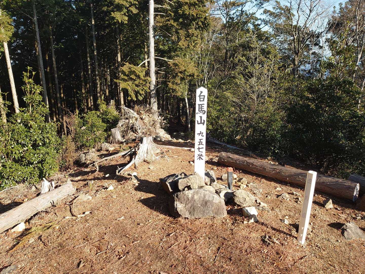 太田岳-白馬山 縦走コースの写真