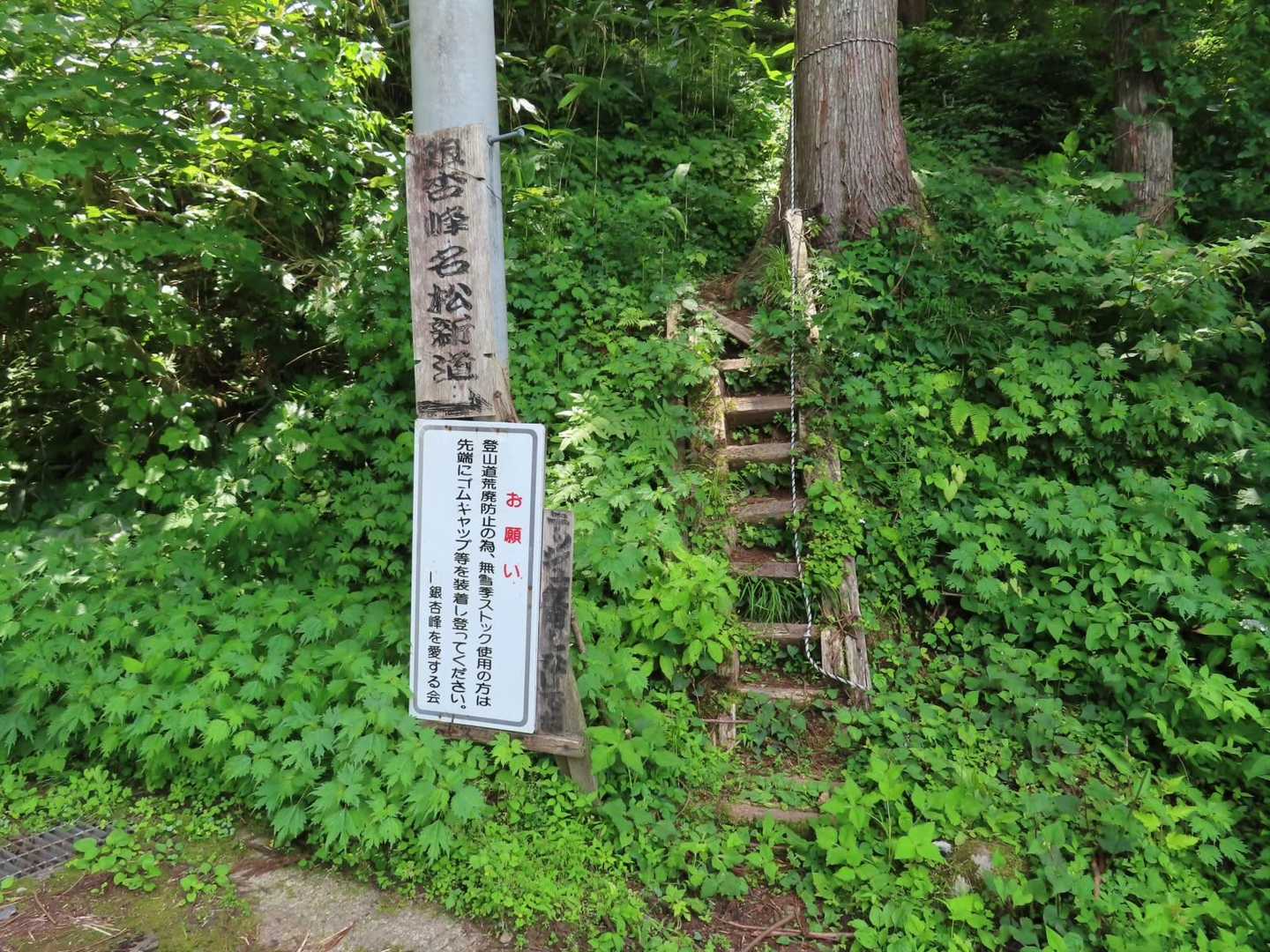 いこいの森に到着