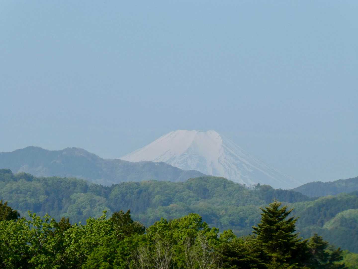 まさかの富士山😭