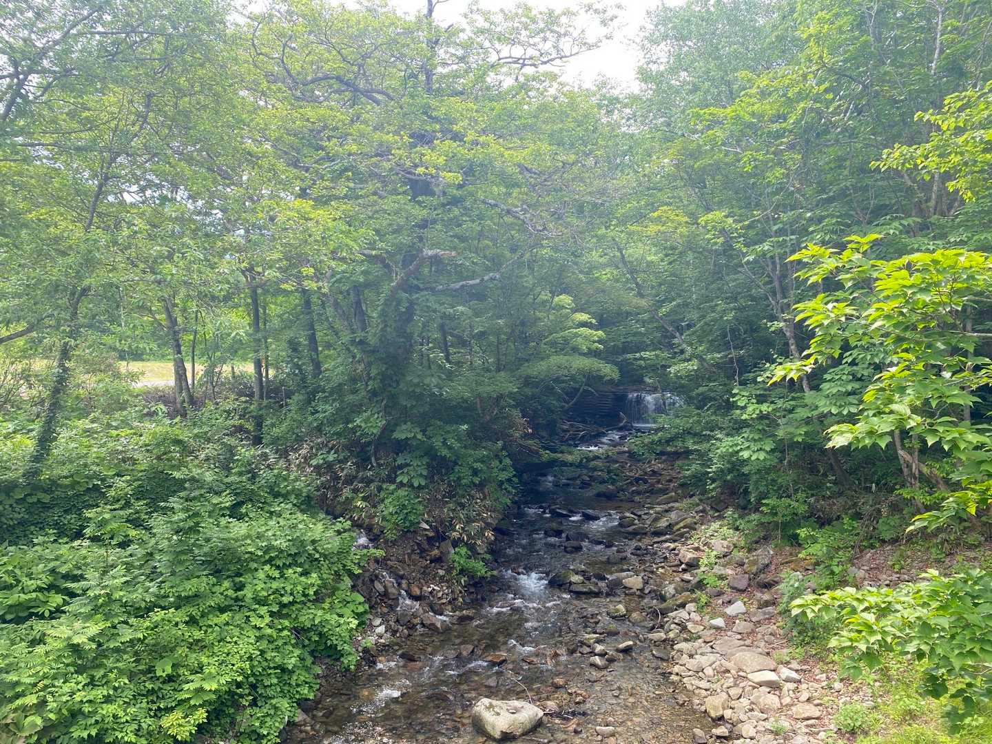 　と思ったら一旦舗装路に出て歩きます。