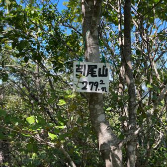 引尾山山頂♪
おやつタイム②