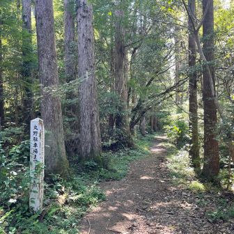 そっちにも 
道がある