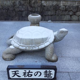 亀さん
綺麗に雪をかぶってます