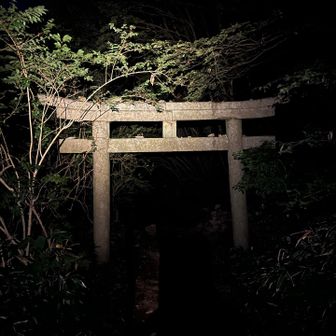 シュラインロード（初）