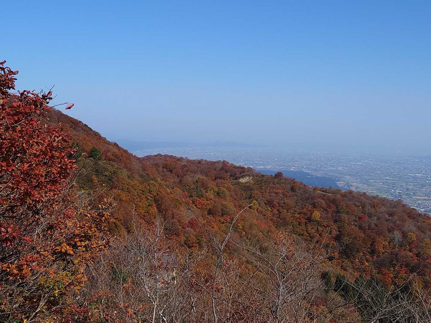 紅葉も見頃ですね