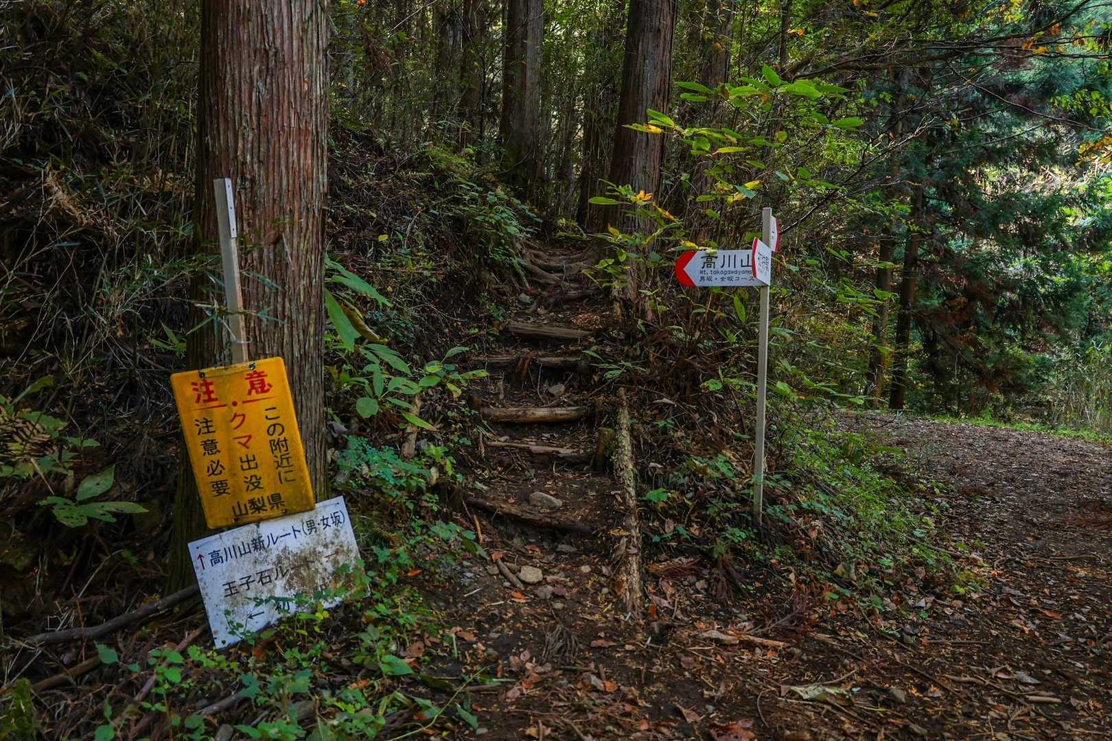 スタート地点