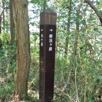 修法ヶ原方面へ
