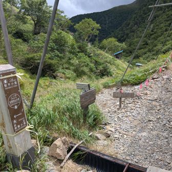 明日行く道