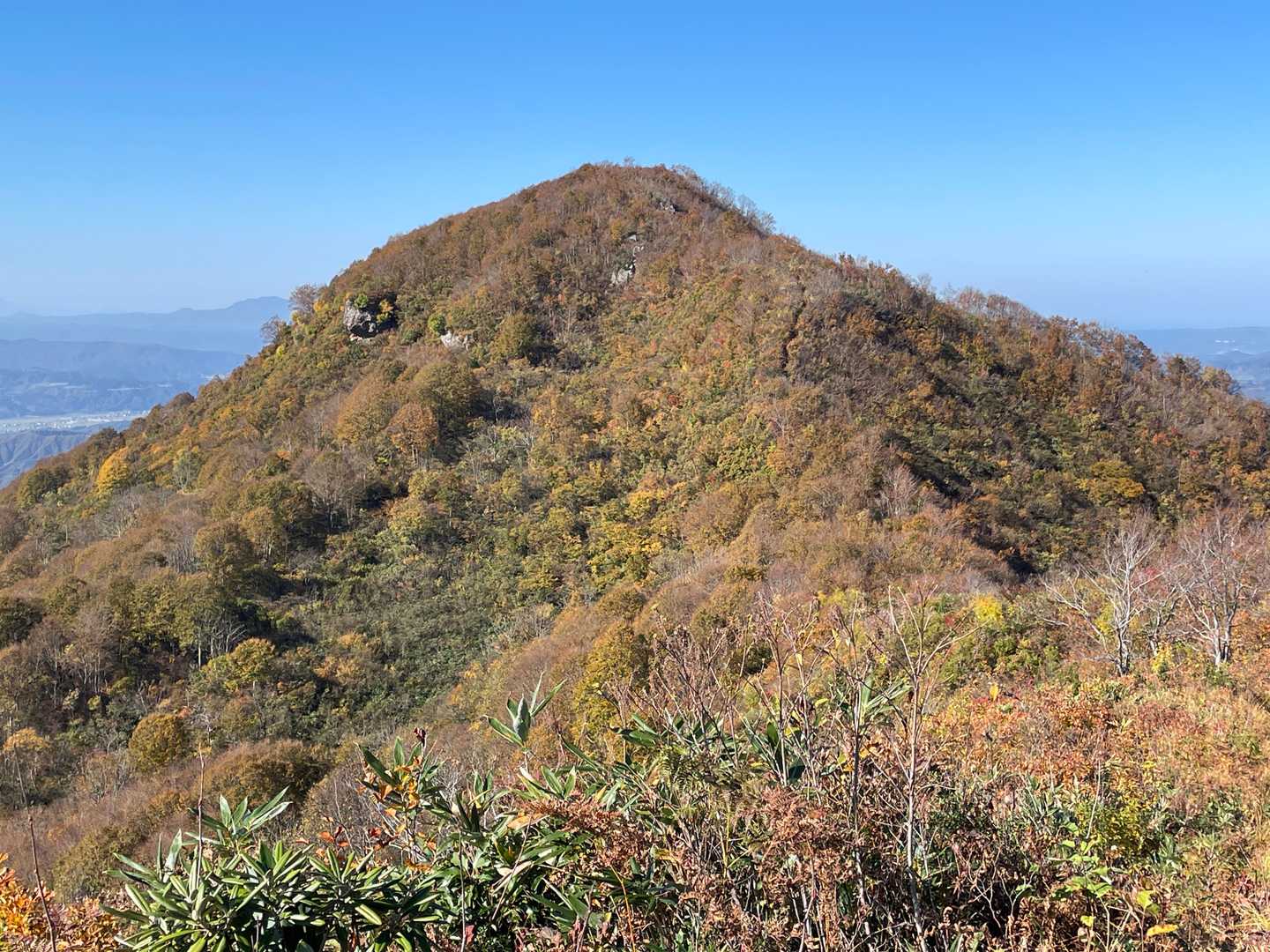 下権現堂山を振り返り