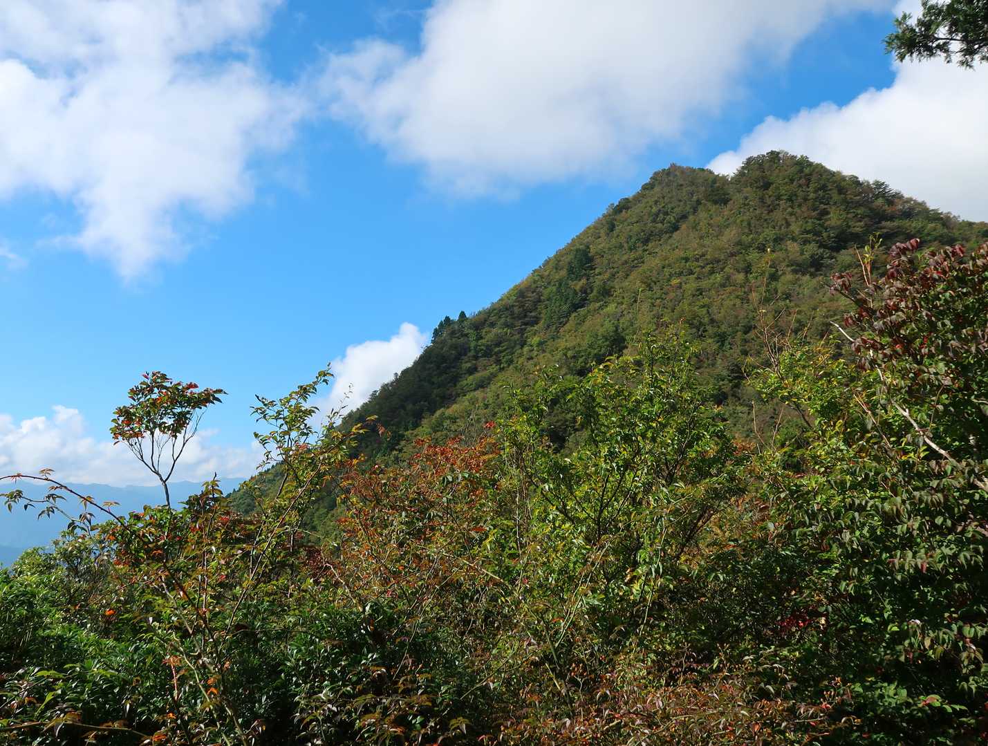 庄司峠手前の高台から栗ノ木岳(奥側)
