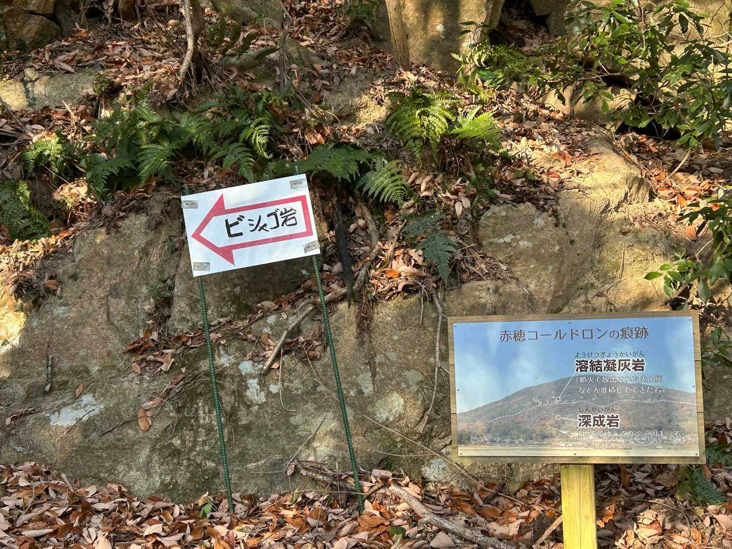 ピークを取りに毘沙門山⛰️→に行きます
ビシャゴ岩は後のお楽しみに😊