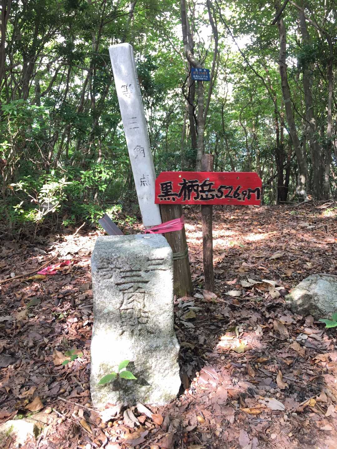 頂上到着 🎌

この位置からすぐ近くに上り下り出来る舗装路が見えました。
何処に繋がる舗装路なのか帰宅して調べることに。