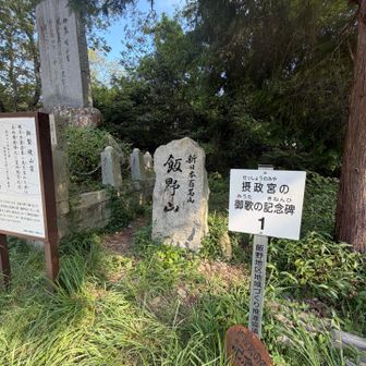 山頂に到着🚶
　※山頂標識は別のところにあったようです。気づきませんでした😓