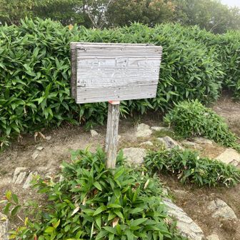 寒風山　山頂