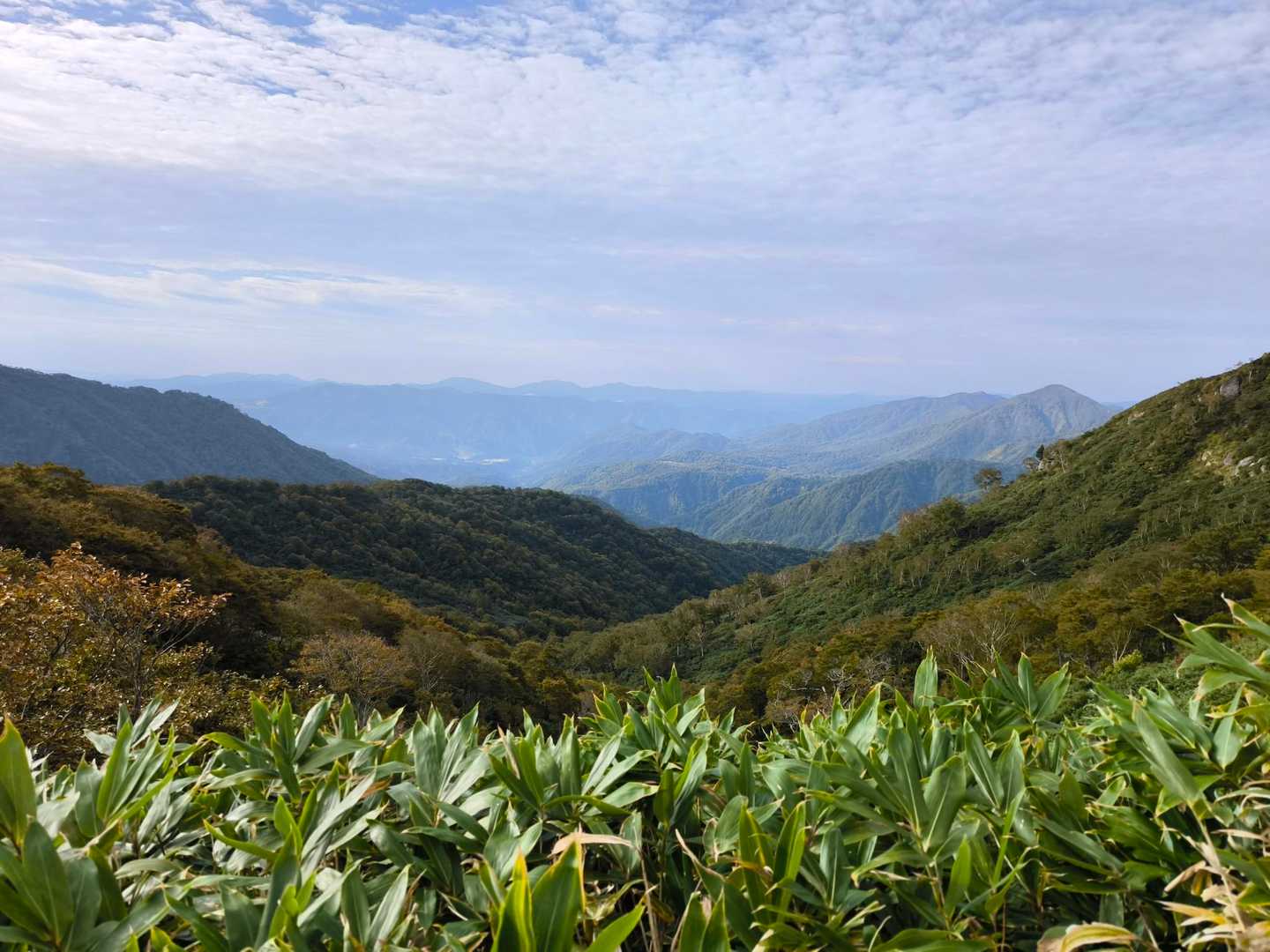 石徹白登山口-銚子ヶ峰-三ノ峰 往復コースの写真