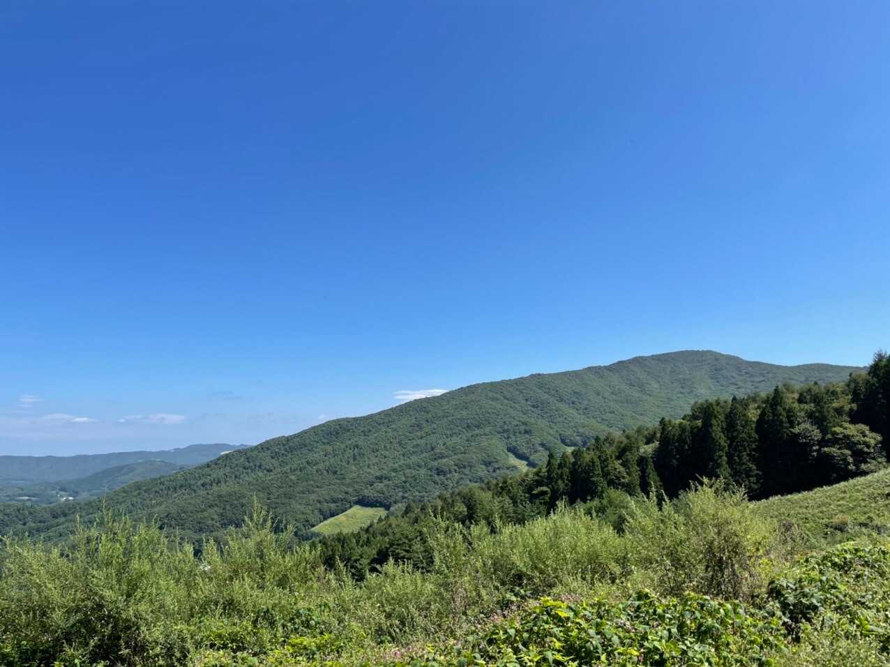 日山（天王山）の写真
