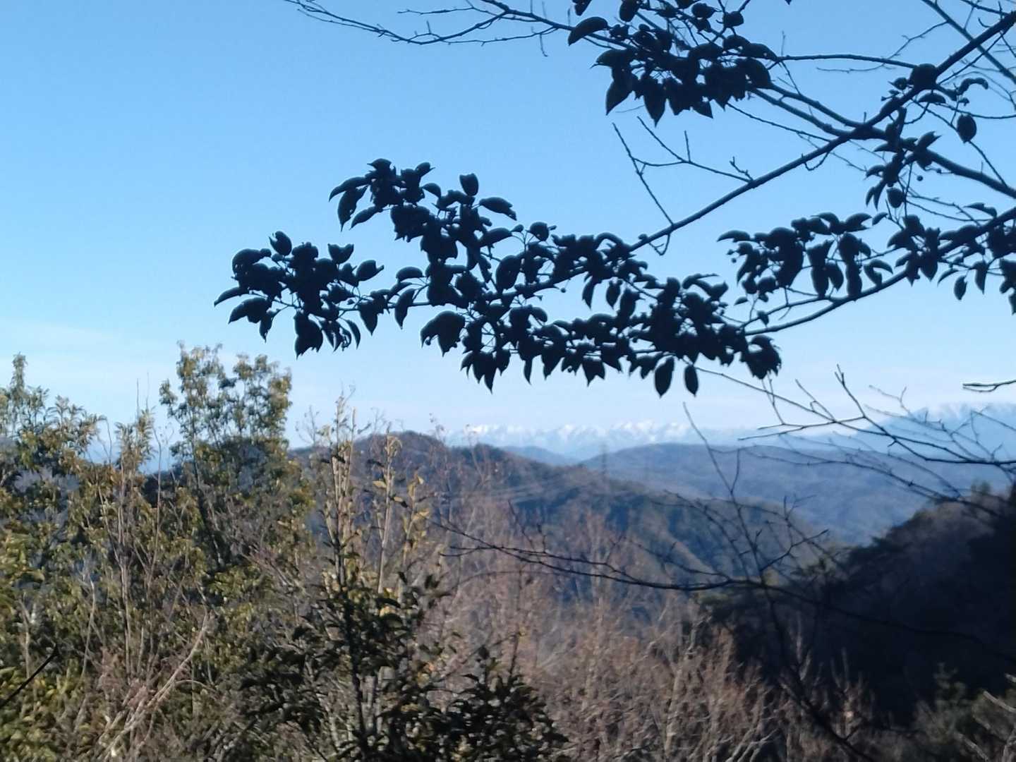 東昌寺-東の宮-猿投山 縦走コースの写真