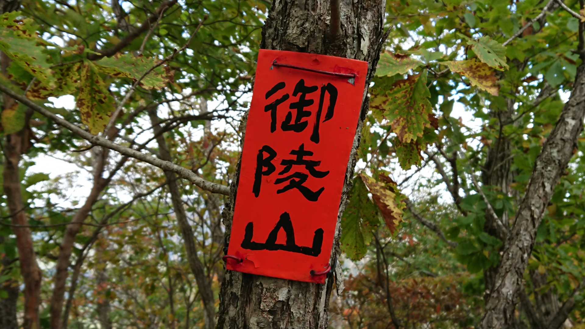 女山にもあったご当地山名標識😆💕✨