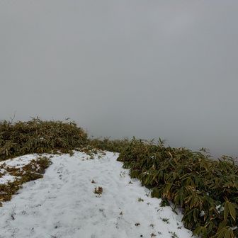 825到着😇ﾐｴﾝ