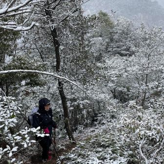 前方の雪玉おじさんがずっと雪玉投げていじめてくるのだが‥😢