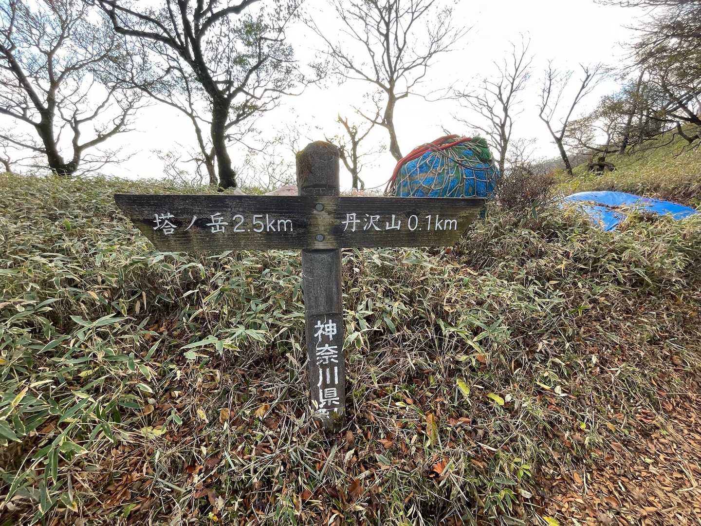つ・つ・ついに…
あと100mで丹沢山ーー！！！