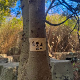 岩堂山…82m

こちらが山頂

明治時代のものとされる砲台の観測所跡地があります