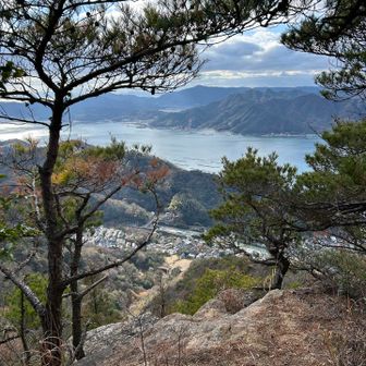 ちょっと覗き込む感じで📸