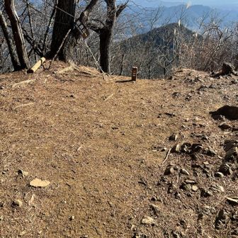 新倉山への分岐。
なんかめっちゃ下指してるなと思ったら、