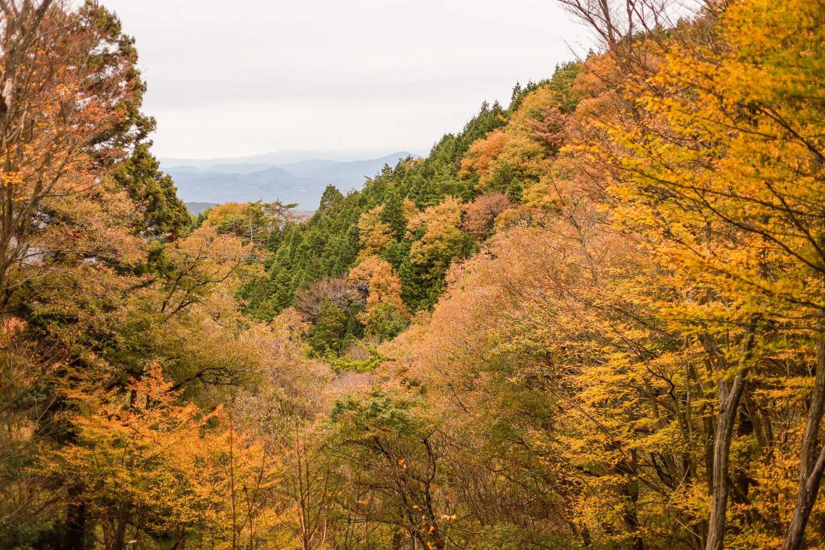 曽良山登山口-曽良山 往復コースの写真