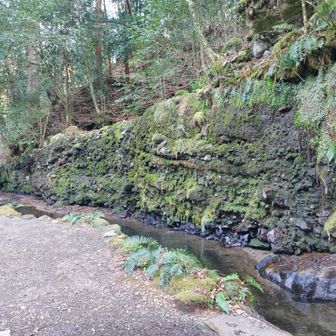 流れがいっぱいの日に見てみたい。