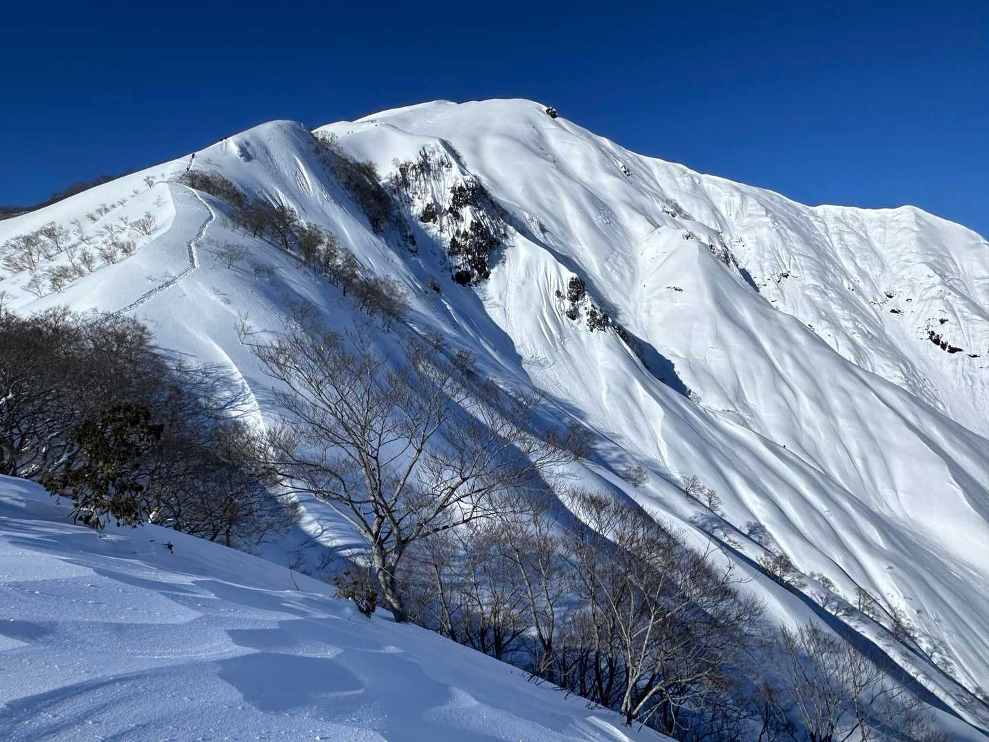 登山入口-熊穴沢ノ頭 往復コースの写真