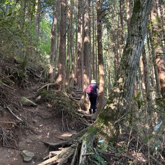 寺谷の最後の登り⤴️