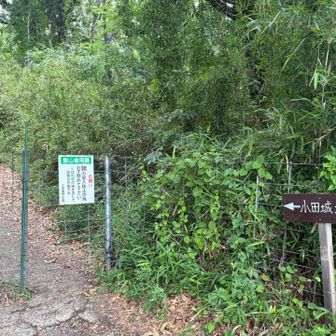 初めて行くコースです