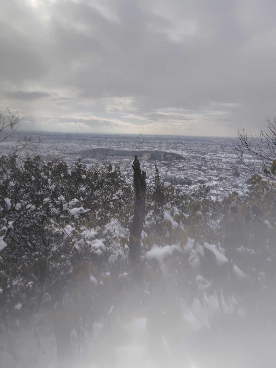 洞山 往復コースの写真