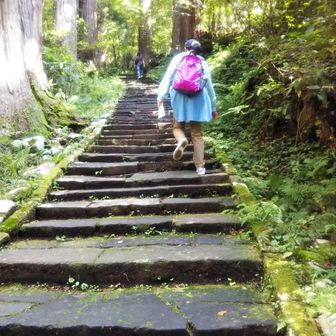 あきたメイプル🍁