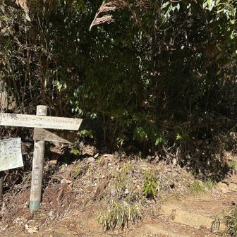 帰りはここから、ひょっこり予定