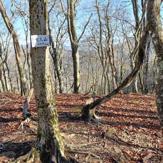 気持ちに余裕ができ登ってみました👍🏻