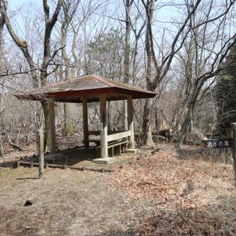 👈ここを左に進みます