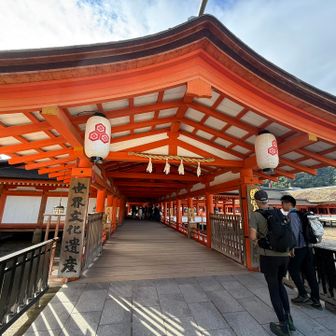 下の板は止めてないんだって
tatoさん先生が色々と教えてくれます👨‍🎓