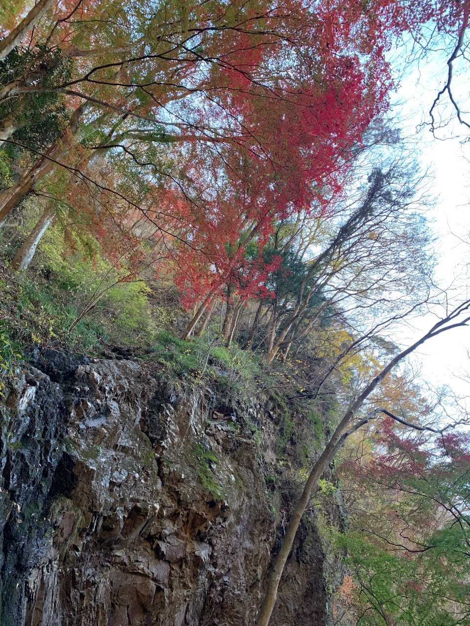 大円地越-男体山 往復コースの写真