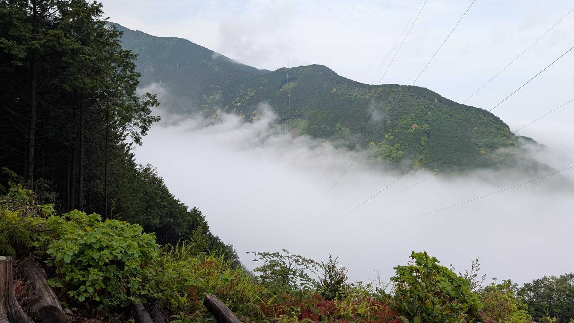 生子山-犬返 往復コースの写真