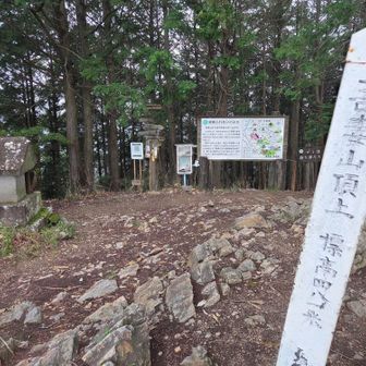 吾妻山山頂
山頂は広い