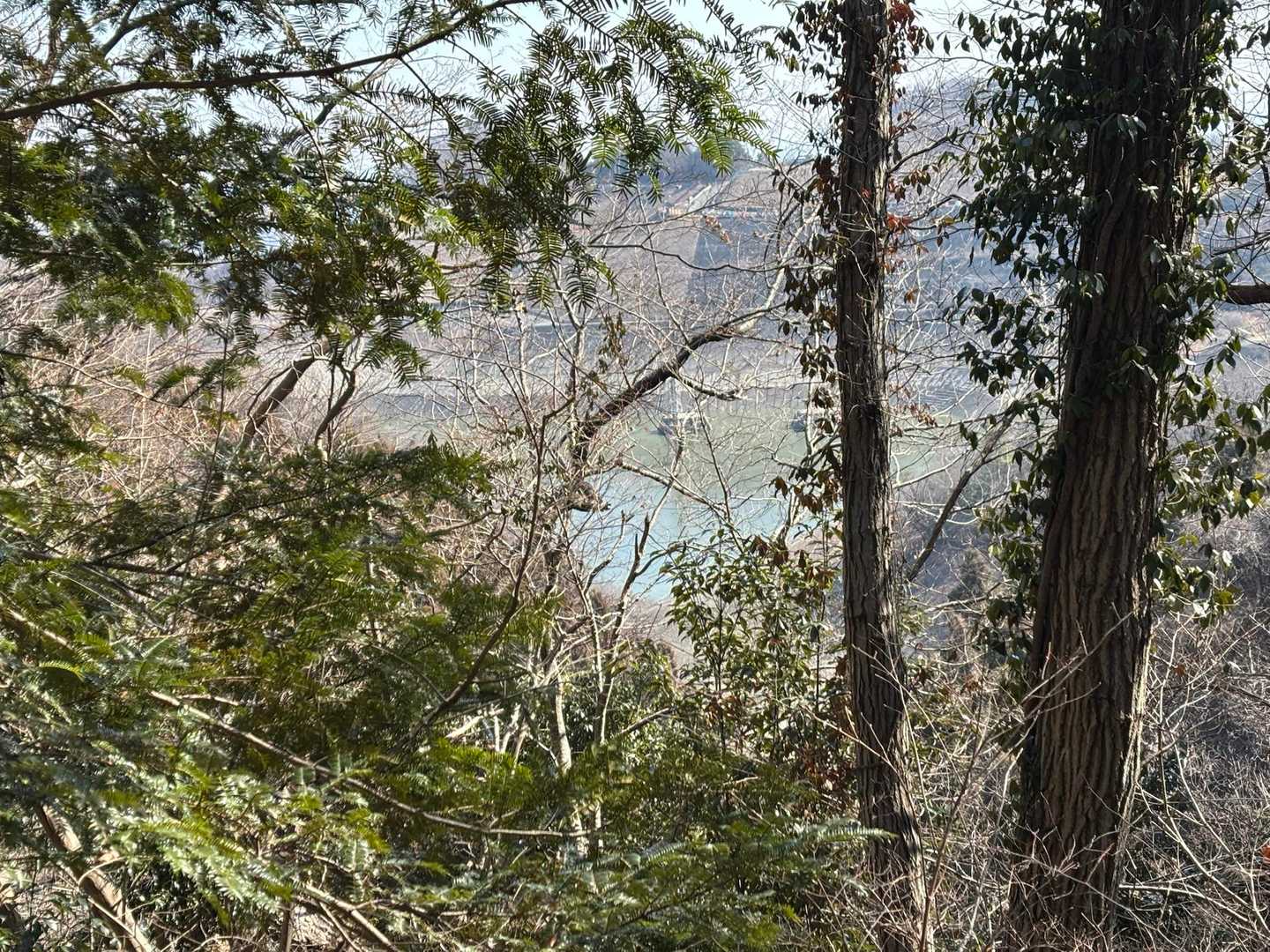 城山湖の水面が下がってる