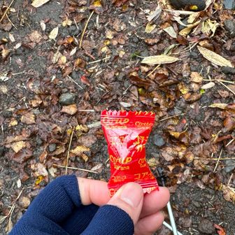 コアップ　ガラナの飴