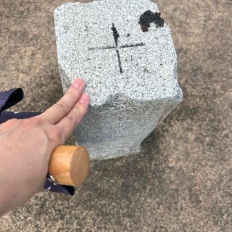 ついでに私だけ山頂も
YAMAPにはピークありません