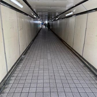 線路の下をくぐって、商店街を抜けて行くと