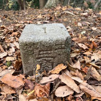 鷹取山着きました！