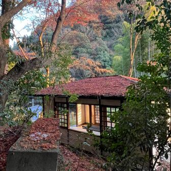 今年は本当に素晴らしい紅葉でした
来年も期待します！