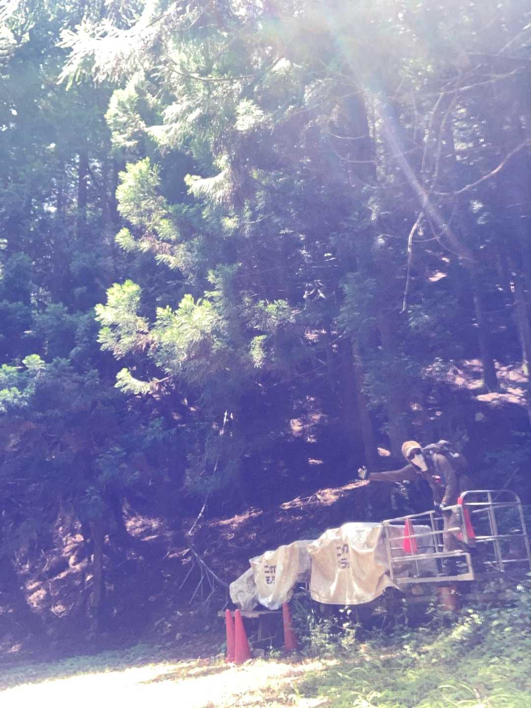 三ツ峠入口-旧御坂峠-コブ岩ノ頭-黒岳-すずらん峠-破風山 縦走コースの写真